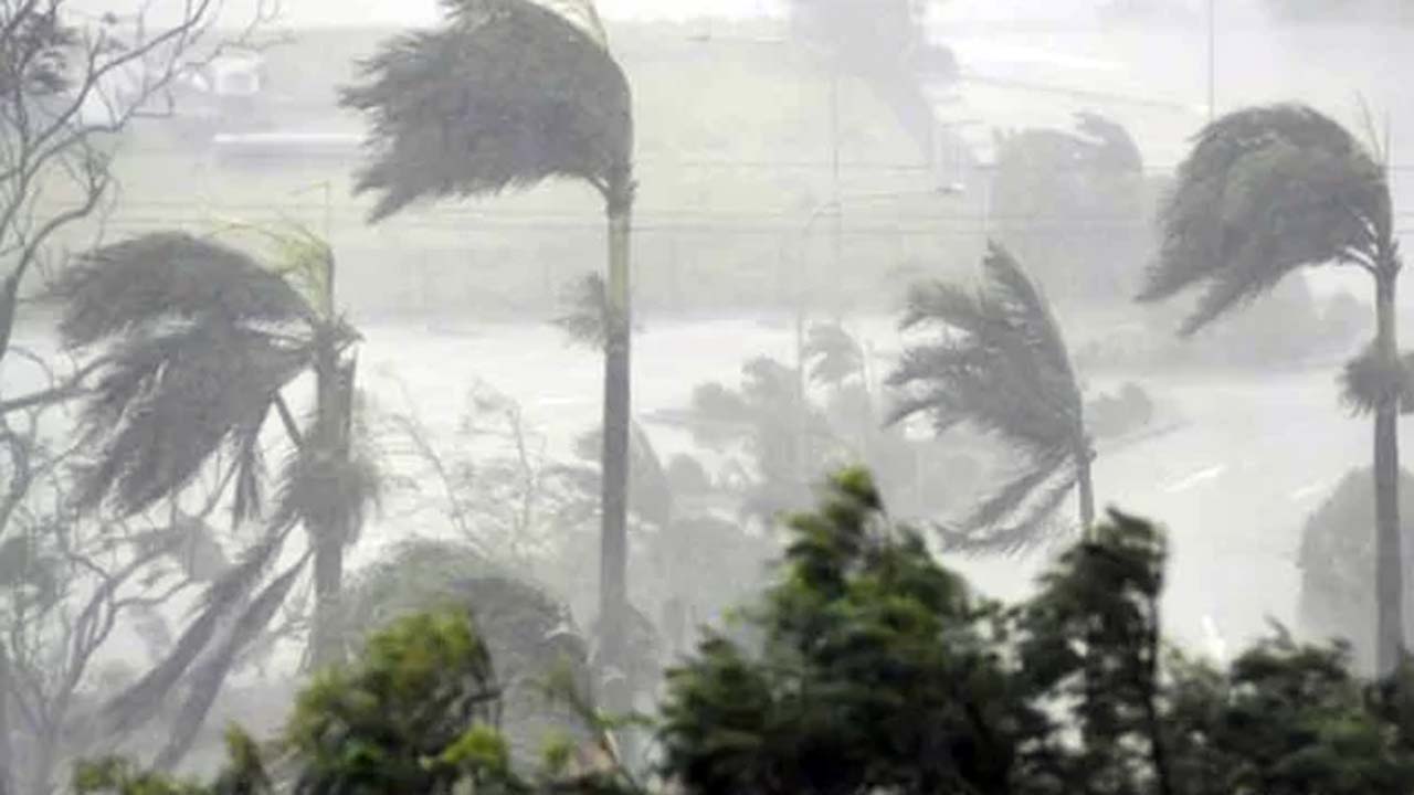 সাগর উত্তাল নিম্নচাপ নিয়ে কী বলছেন আবহাওয়া অফিস
