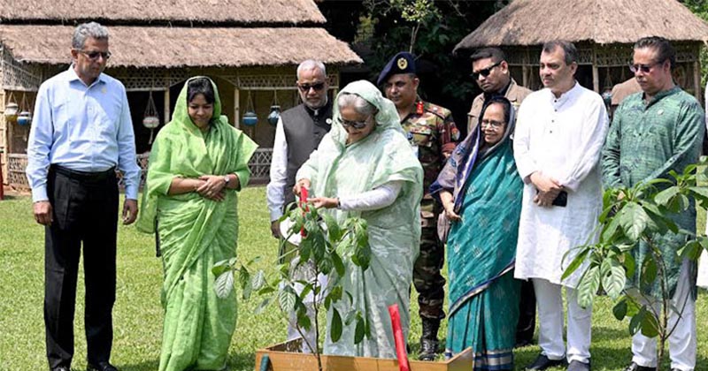 সবাইকে ৩টি করে গাছ লাগানোর আহবান প্রধানমন্ত্রীর