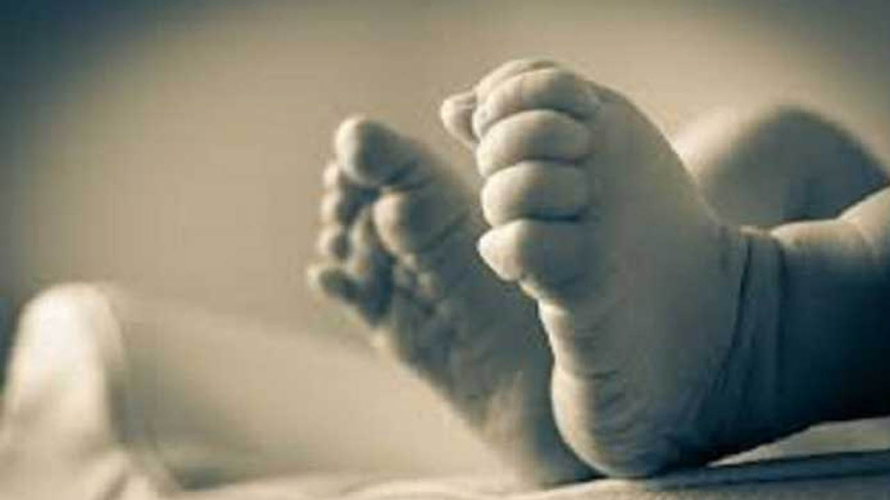 নোয়াখালীতে অটোরিকশায় রাখা কার্টন থেকে নবজাতকের লাশ উদ্ধার