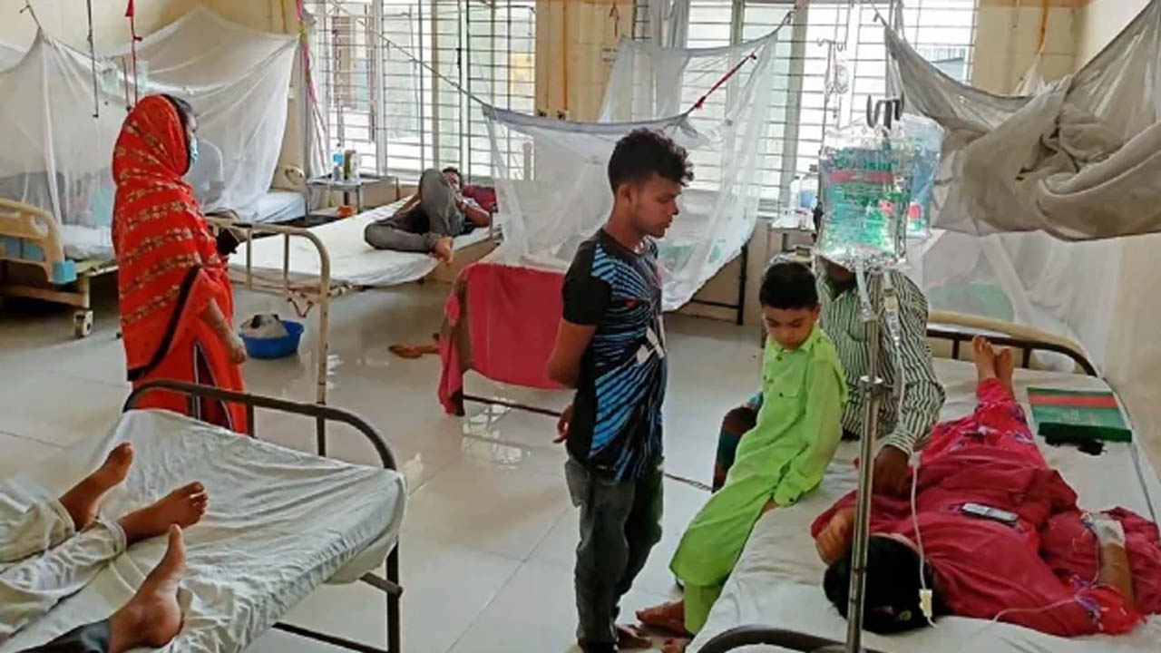 ডেঙ্গুতে আরও ১১ জনের মৃত্যু হাসপাতালে ভর্তি ২৯৪৪ রোগী