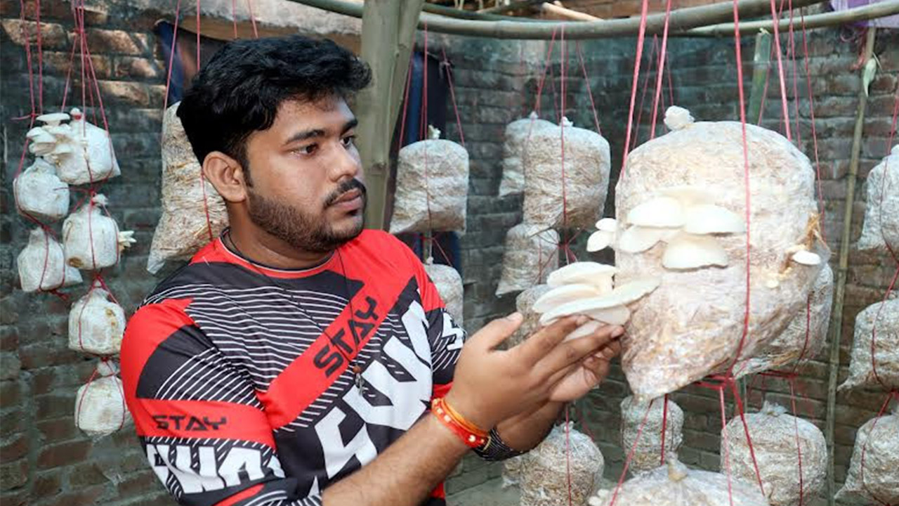 ফুলবাড়ীতে মাশরুম চাষে সফল রাকেশ